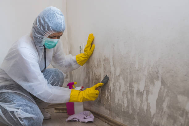 Mold Remediation for Vacation Homes in Lake Dallas, TX