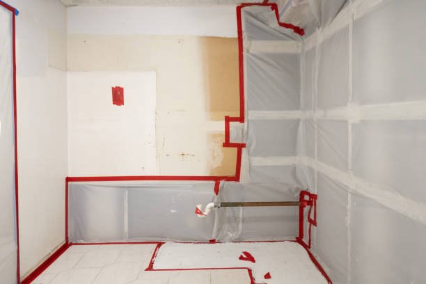 Lake Dallas, TX Mold Removal Company