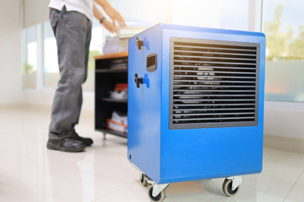 Dehumidification Services in Lake Dallas, TX