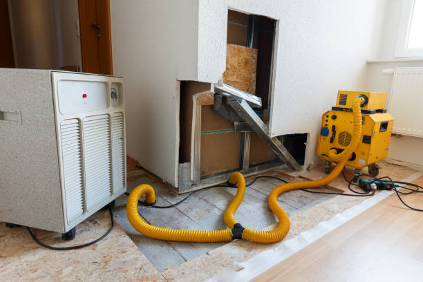 Best HVAC Mold Inspection and Cleaning  in Lake Dallas, TX