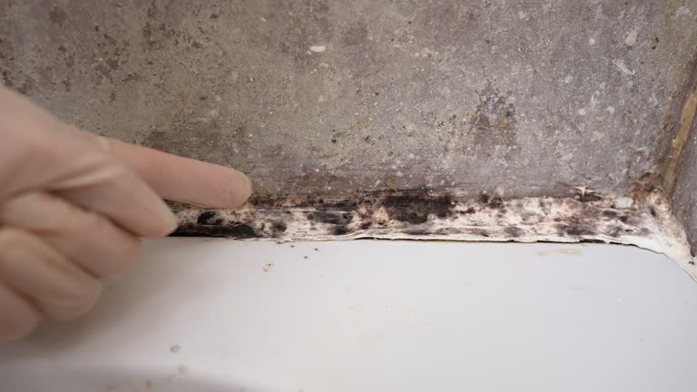 Best Asbestos and Lead Testing During Mold Inspection  in Lake Dallas, TX