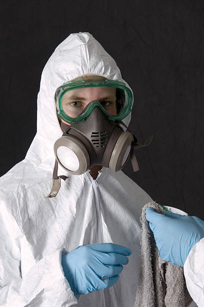 Best Mold Damage Restoration  in Lake Dallas, TX
